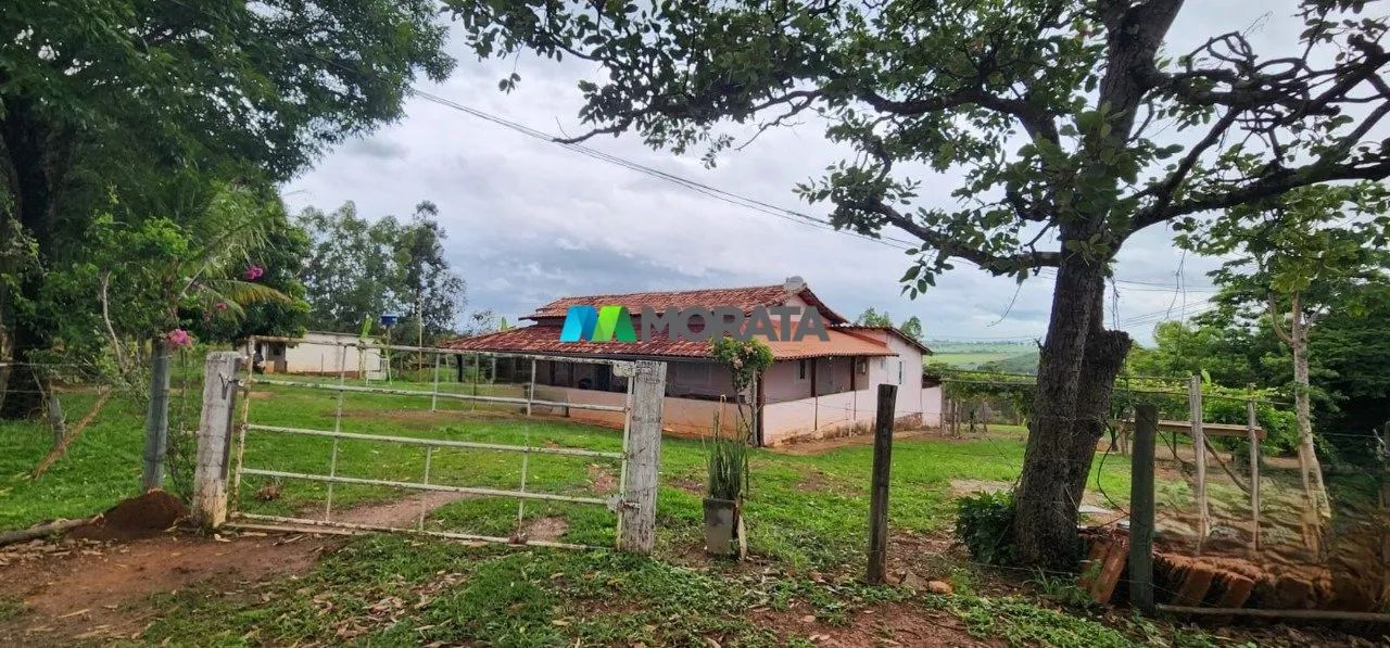 FAZENDA À VENDA - 34 HECTARES - CAETANÓPOLIS (MG) - Foto 3