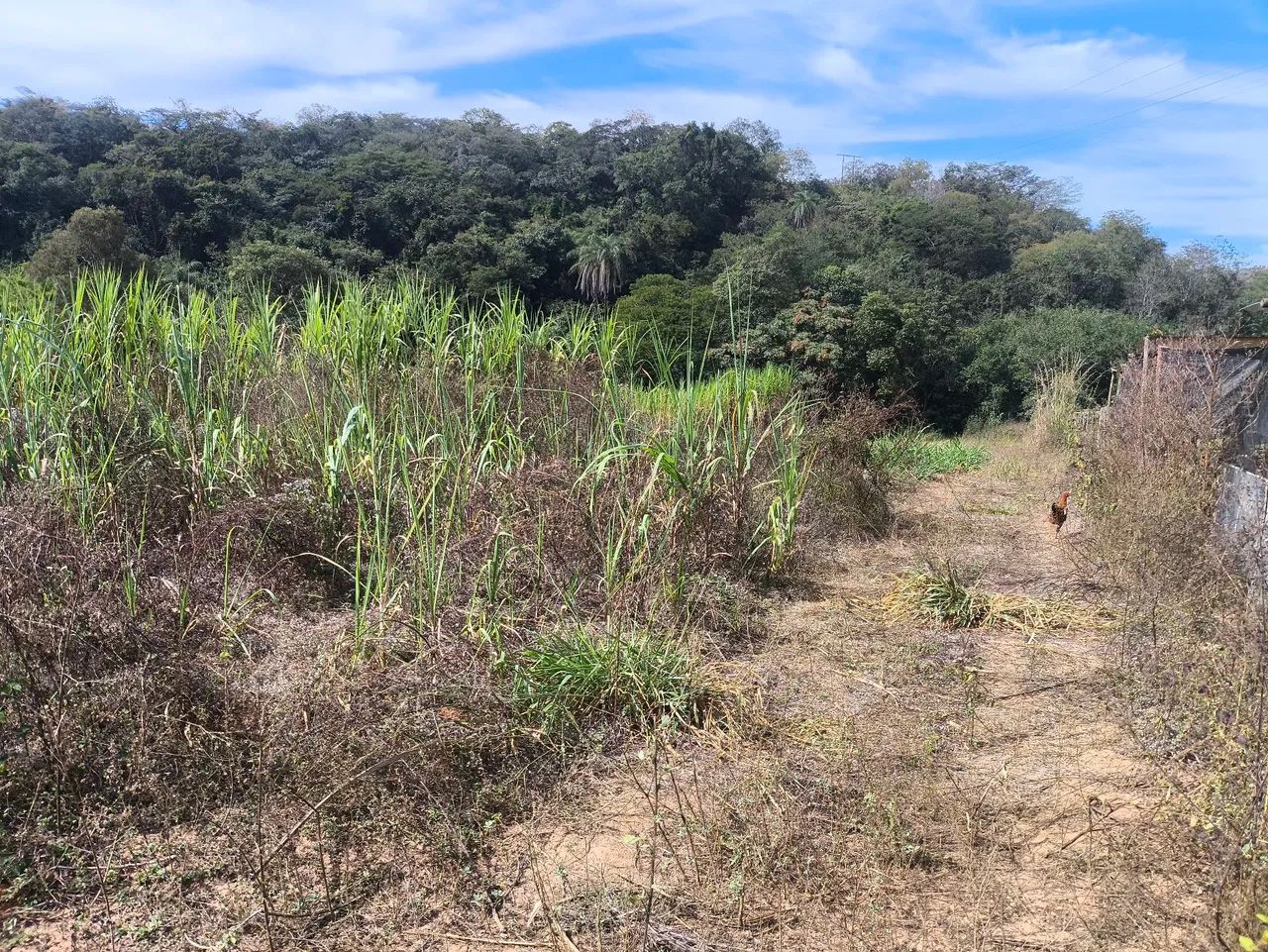 Terreno em FUNILÂNDIA  - Foto 2