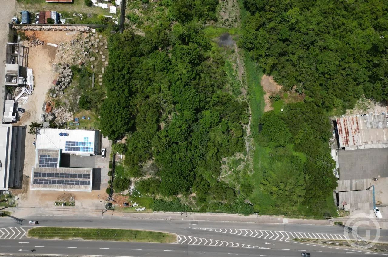 Terreno amplo em localização estratégica em Florianópolis - Foto 5