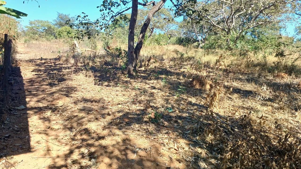 Lote em zona rural d lontra  - Foto 2