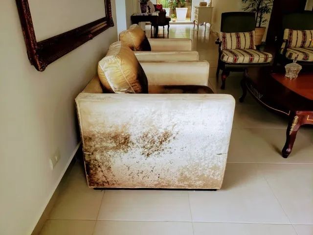 Poltronas Com Tecido Donatelli Veludo Alemão Design (o Par) - Foto 3