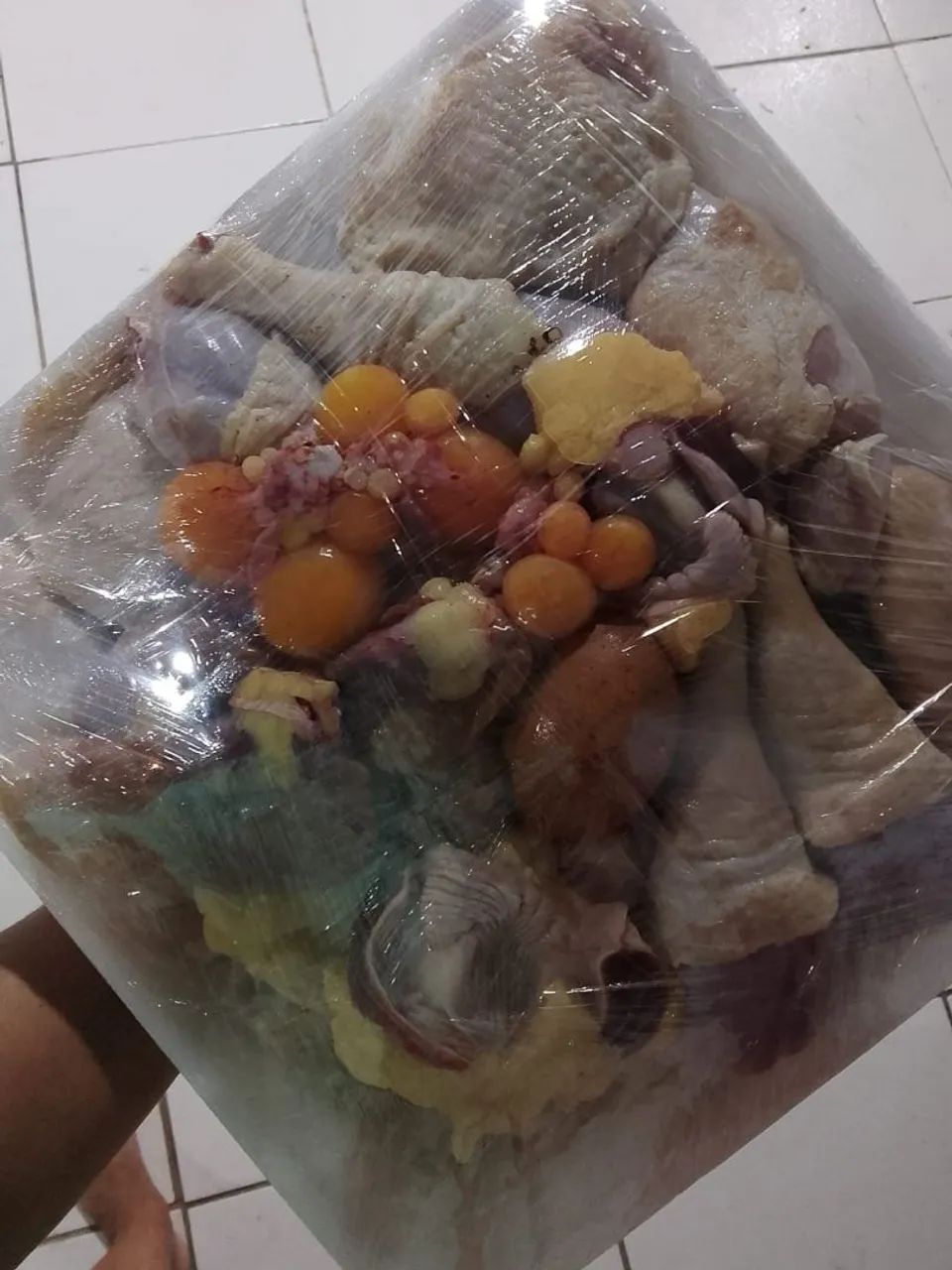 Vendo galinha caipira e capoeira. - Foto 4