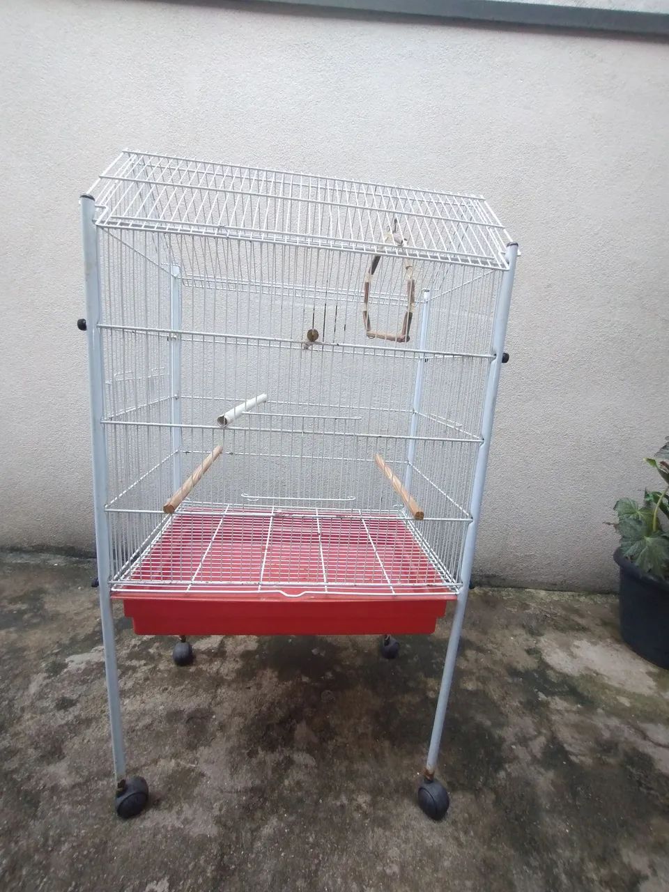 Gaiola  - Foto 3