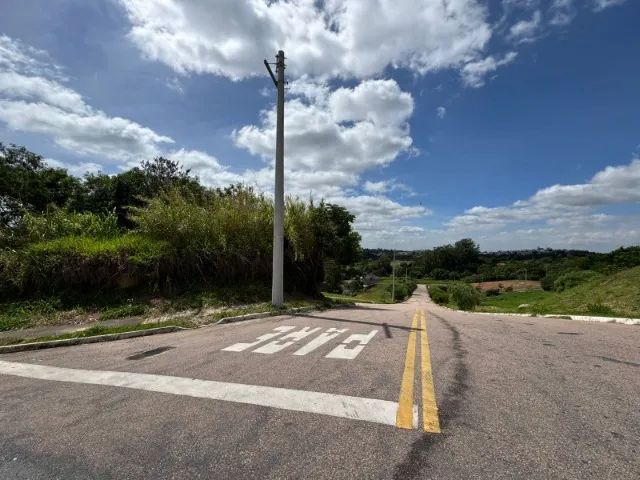 Foto - Vinhedo - Pinheirinho