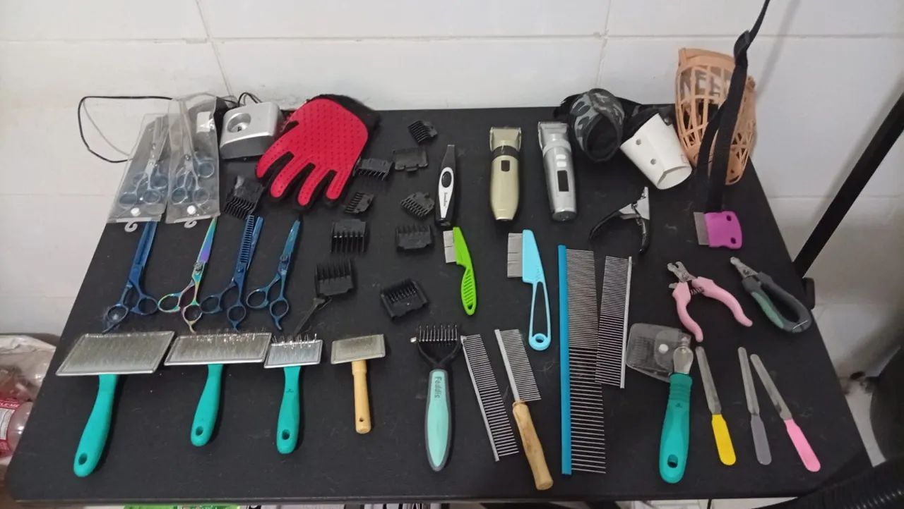 Fundo de Banho e Tosa  completo  - Foto 2