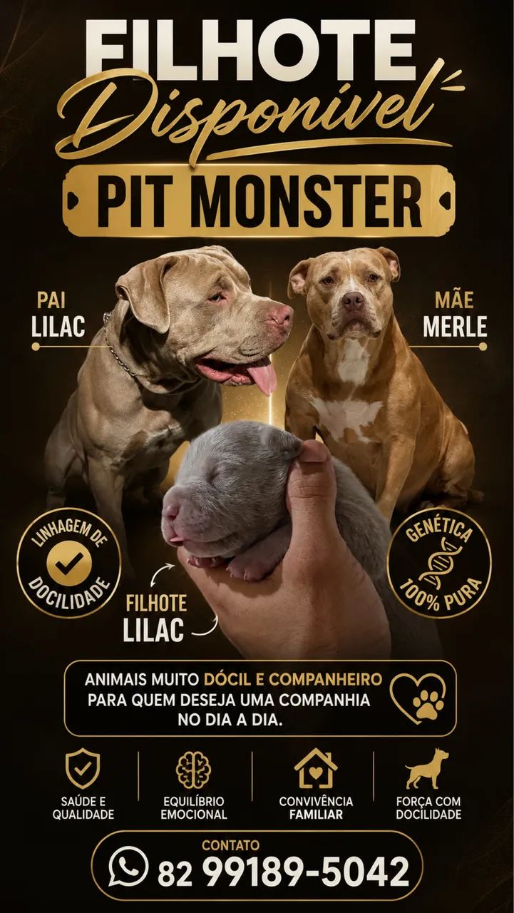 Cachorro Pit Monster  - Foto 4