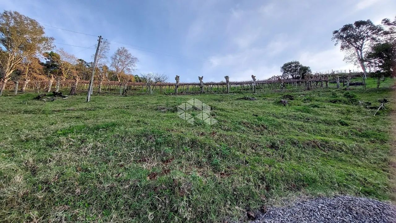 Área de 12ha com casa e em Monte Belo do Sul - Foto 3