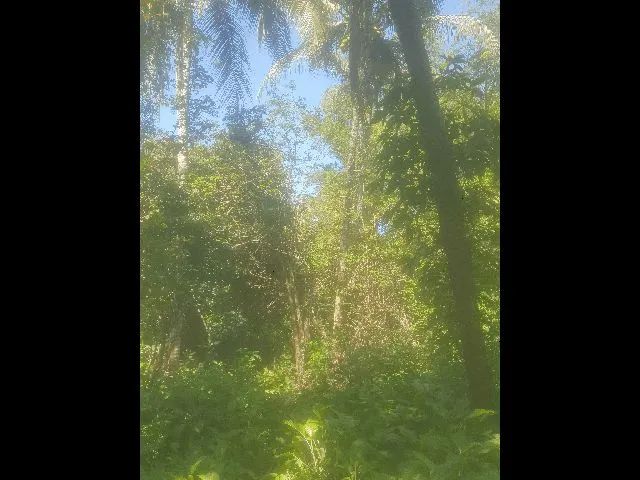 Venda ou troca  - Foto 2