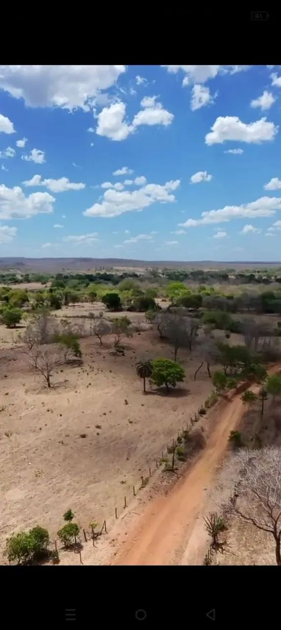 1.000 ha a venda no Piauí 