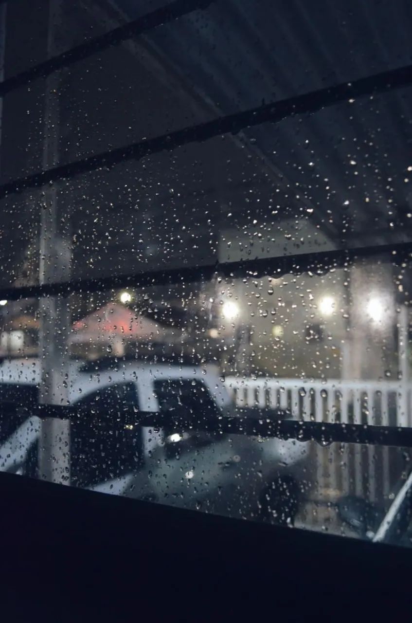 Nikon D5100