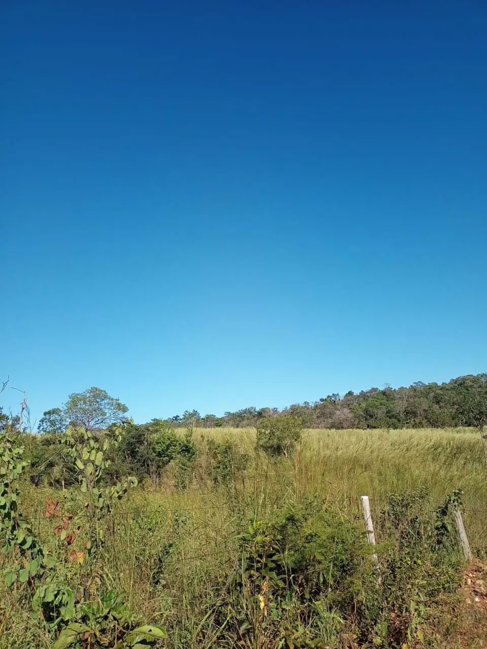 Terra Jaú Tocantins - Foto 5