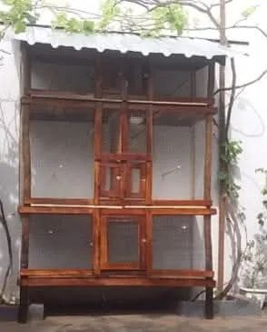 Viveiros - Foto 3