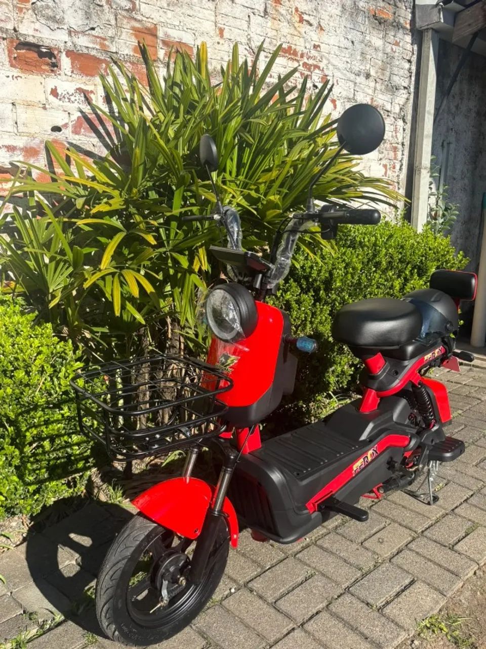 Scooter Elétrica / Autopropelida Ferox