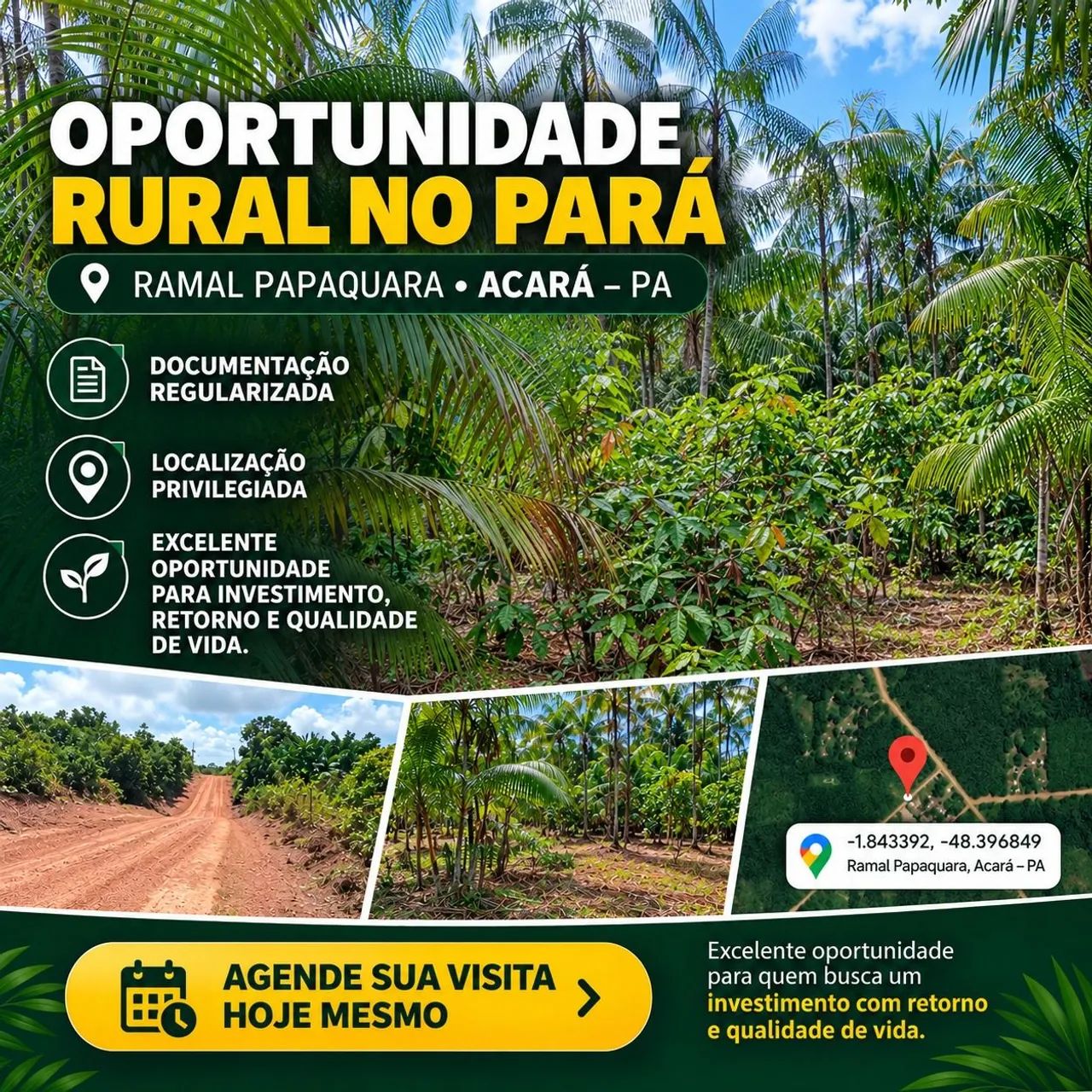 Vende-se  sítio  no Acará medindo 114 de frente por 208 de fundo, ja  com  uma produção  d