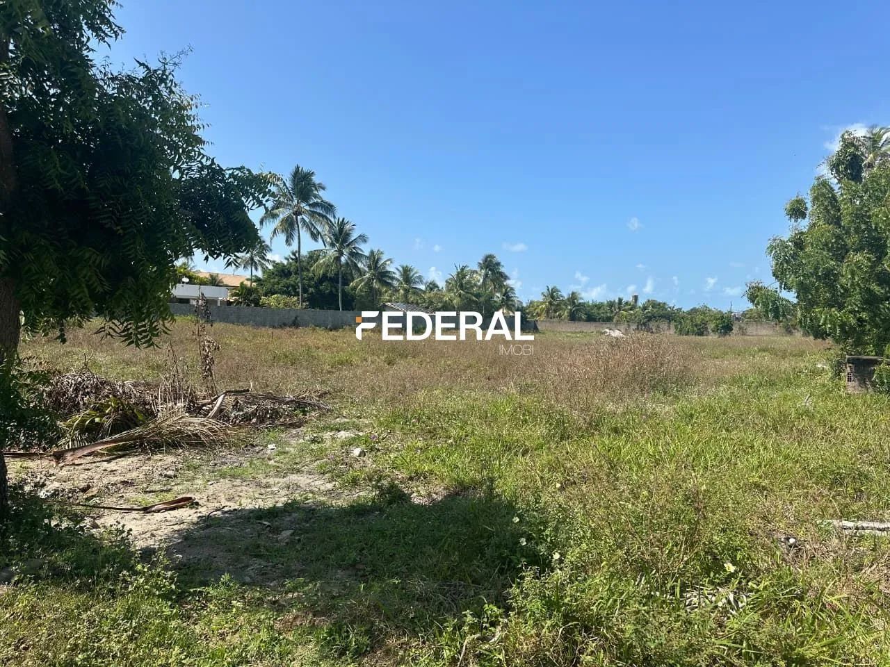 UMA OPORTUNIDADE EXCEPCIONAL EM ENSEADINHA, SERRAMBI - Foto 3