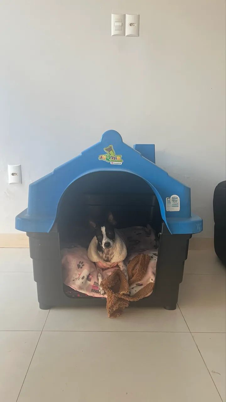Casinha de cachorro  - Foto 3