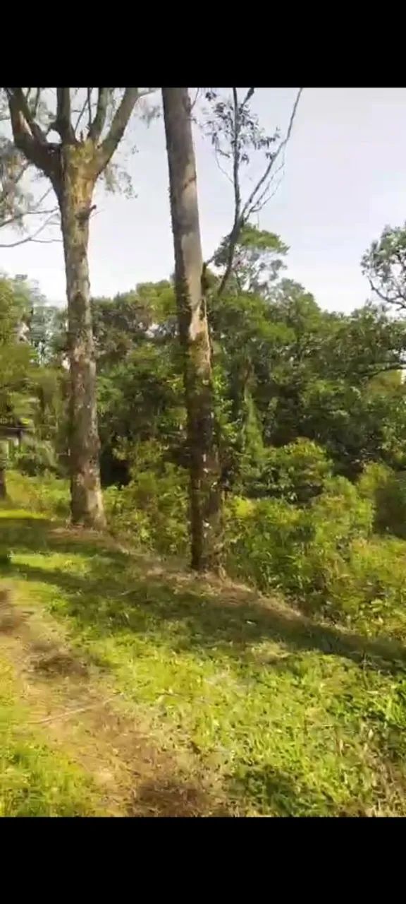 Vendo terreno Ibiúna bairro dos alves  - Foto 3