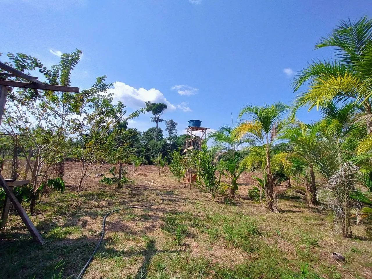 Vendo Sítio - AM 240 Estrada de Balbina - Foto 5