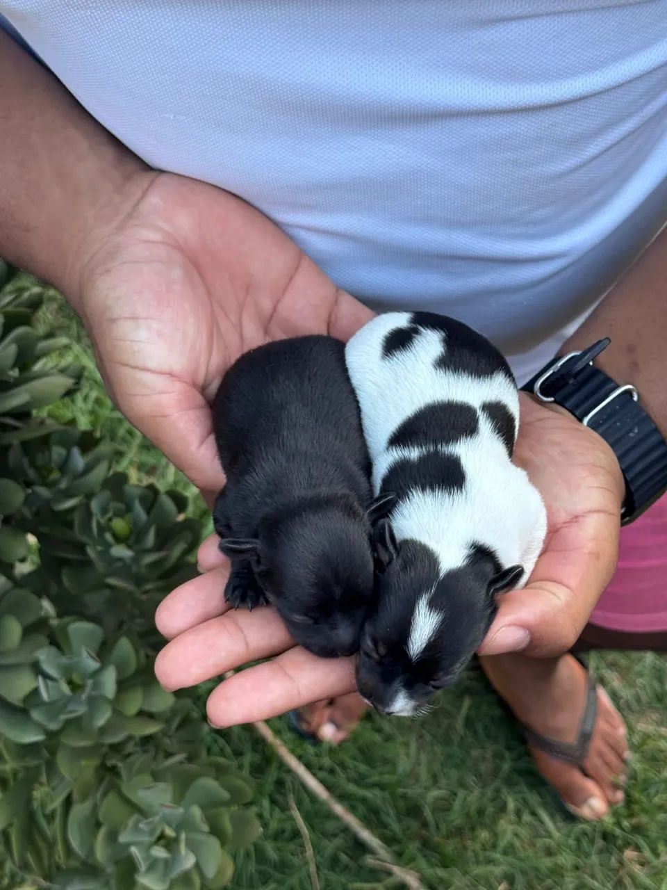 Bebês miniaturas  - Foto 2