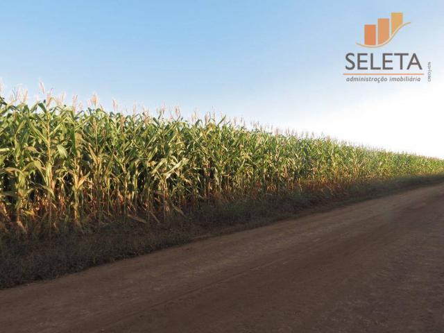 Fazenda à venda, * m² por R$ 125.000.000 - Vila Bom Jardim - Nobres/MT - Foto 7