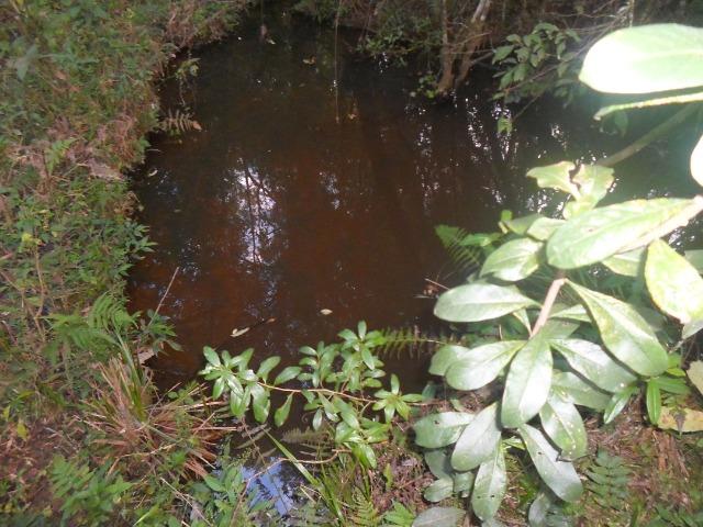 Terreno 6.000 m²