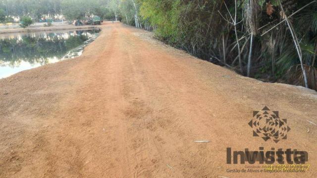 Oportunidade de excelente fazenda para agricultura!!! - Foto 10