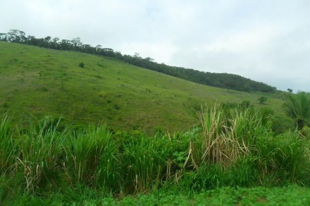 Fazenda 35 alqueires em colatina - Foto 14