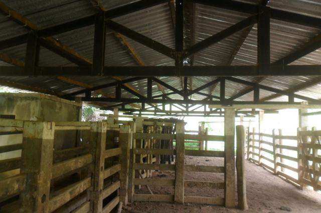 Fazenda 35 alqueires em colatina - Foto 19