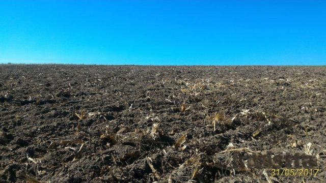 Oportunidade de excelente fazenda para agricultura!!! - Foto 5
