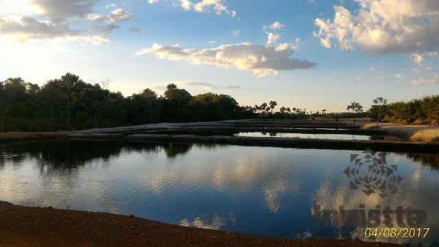 Oportunidade de excelente fazenda para agricultura!!! - Foto 8