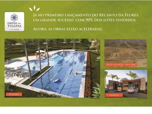 Jardim dos Girassóis Loteamento Região do Jardim Cruzeiro Apartir de R$52.000,00 - Foto 8