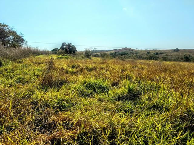 Fazenda 150 ha - Foto 6