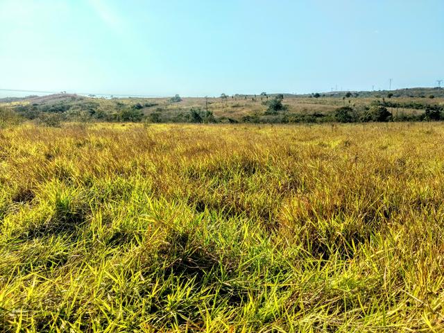 Fazenda 150 ha - Foto 5