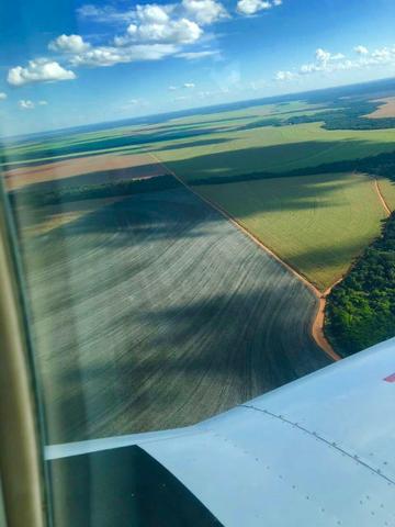 5200 HA arrendamento Primavera do Leste MT P/SOJA - Foto 11
