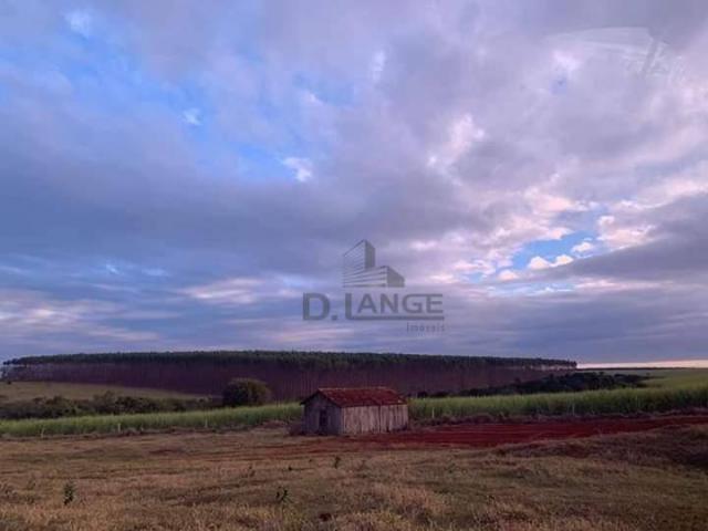 Granja em arealva s/p - Foto 15
