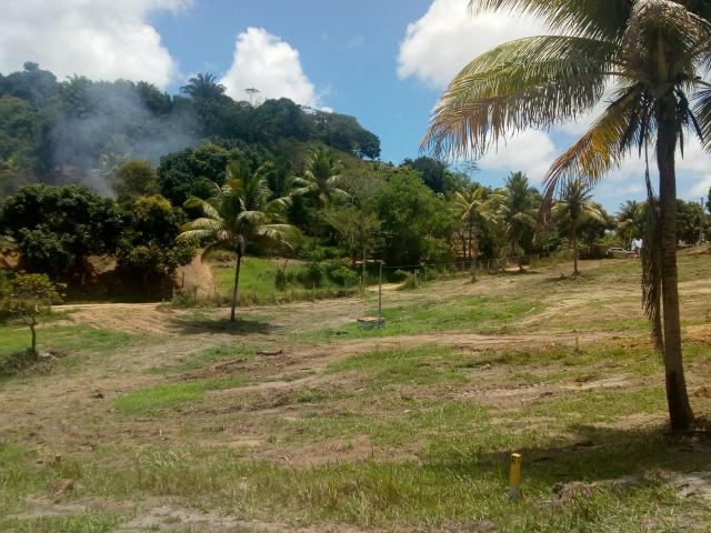Terreno loteado em abreu e lima sem SPC nem comprovação de renda - Foto 4