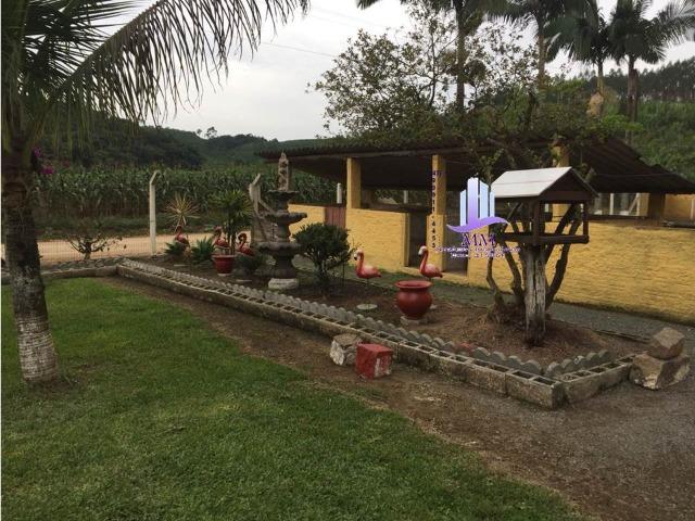 Excelente Sítio com 02 casas p/morar COD. 84 - Foto 17