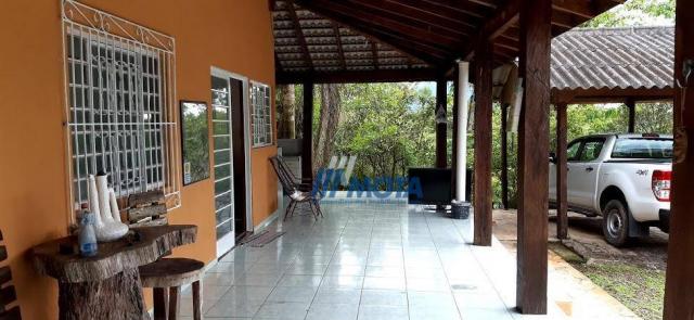 Fazenda a venda antonina com 105,2 alqueires, casa sede em 3 pavimentos, com grande capaci - Foto 17