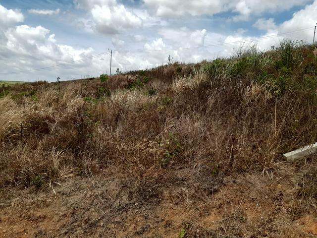 Loteamento Beira Rio em Tracunhaém - Foto 6