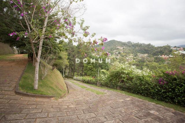 Terreno à venda, 5200 m² por r$ 380.000,00 - golfe - teresópolis/rj - Foto 3