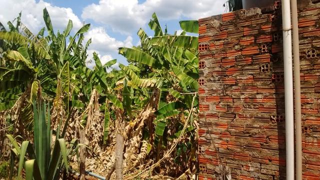 Terreno rural 4.200,0 m² - Foto 2