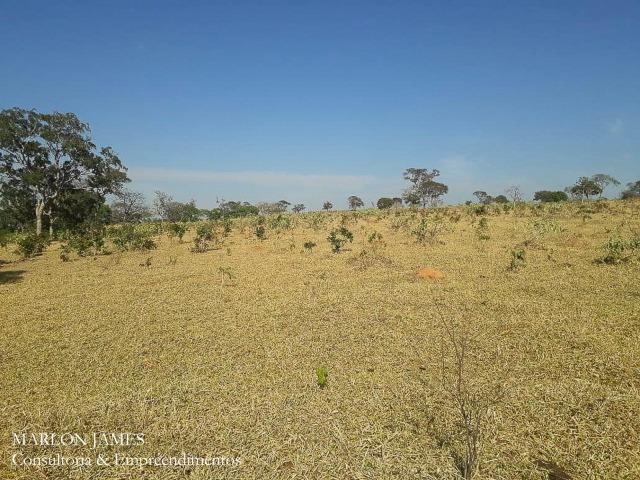 Fazenda Cultura entre Goiás e Mossamedes! - Foto 16