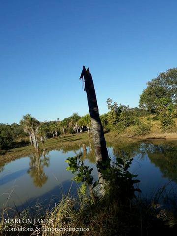 Fazenda próximo a Aragarças e 30 km de Ponte Alta para gado e lazer! - Foto 14