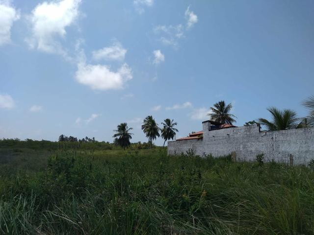 Terreno em São José da Coroa Grande - Foto 5