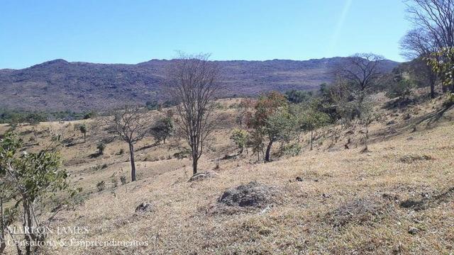 Fazenda Cultura entre Goiás e Mossamedes! - Foto 4
