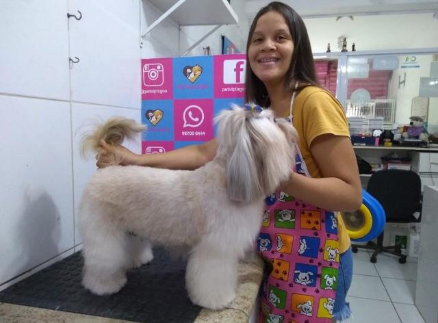 Curso profissionalizante de banho e tosa - Foto 2