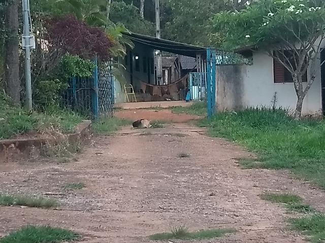 Lote em Chácara no Lago norte - Foto 2