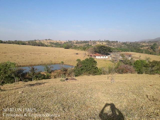 Fazenda Cultura entre Goiás e Mossamedes! - Foto 10