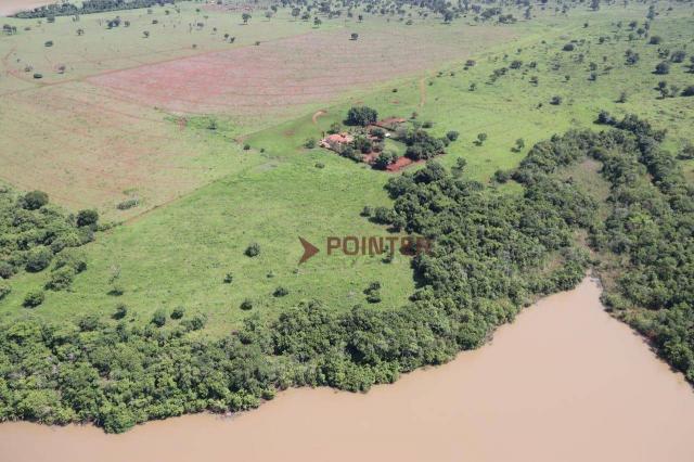 Fazenda Pouso Alto no município de Cachoeira Alta - Go. - Foto 11