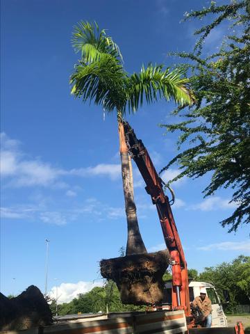 Locação de caminhão munck - Foto 2